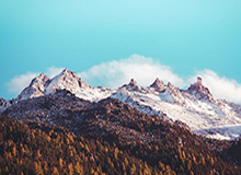 乐鱼leyu官网-性格决定命运？为何图赫尔每次执教总以核爆结束